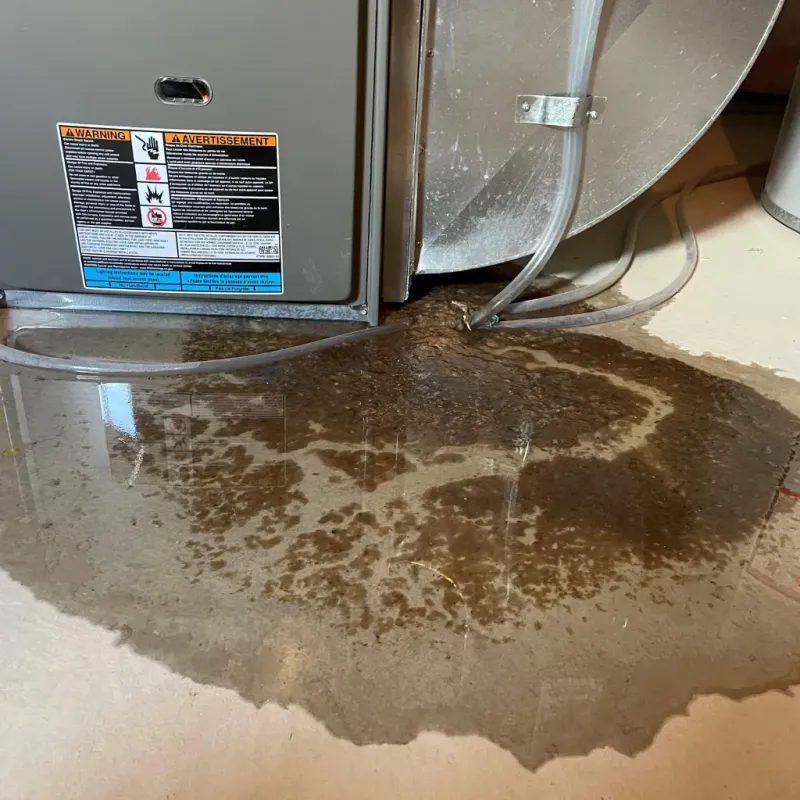 Appliance Leak Cleanup in Arkadelphia, AR